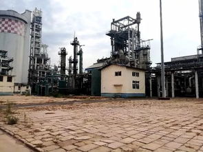 滄州市區這一大片土地將征收 有四條路和一小學建設項目獲批