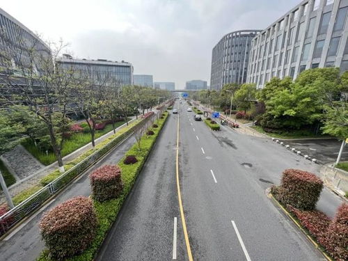 閔行區(qū)新增8條精品道路，累計(jì)創(chuàng)建33條，道路設(shè)施全面升級(jí)